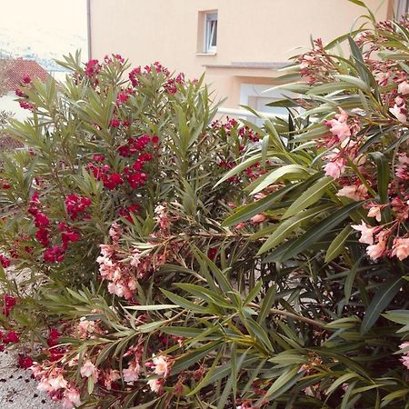 House Agradable Apartment Seget Vranjica Bagian luar foto