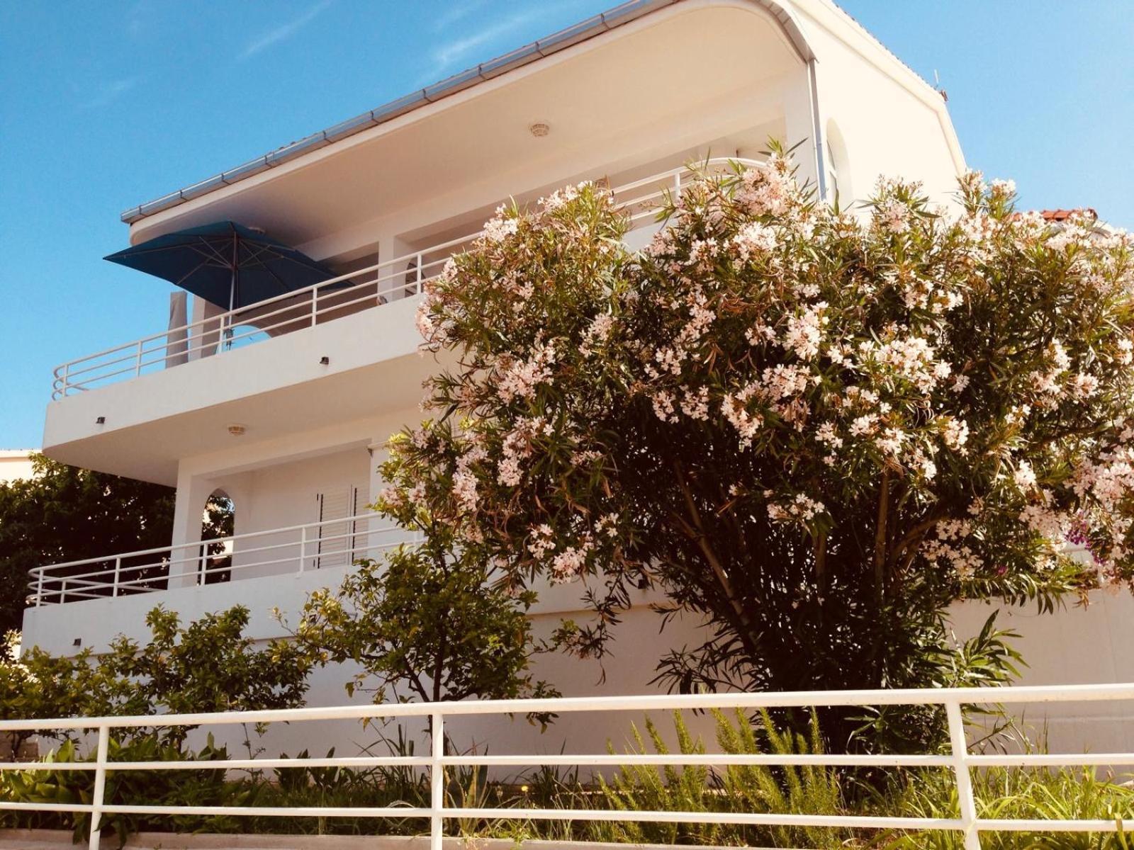 House Agradable Apartment Seget Vranjica Bagian luar foto